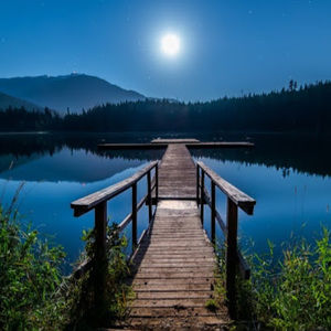 Meet your Posher, Lilia